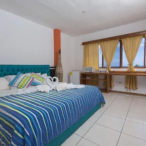 Tongo Reef Guest house